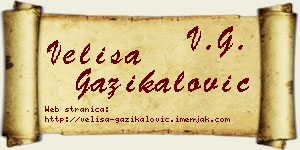 Veliša Gazikalović vizit kartica